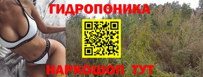 не бодяженный Краснознаменск