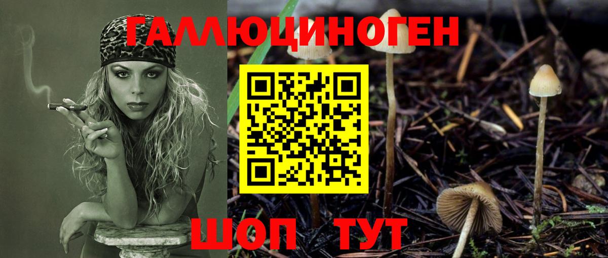 Галлюциногенные грибы ЛСД Каспийск